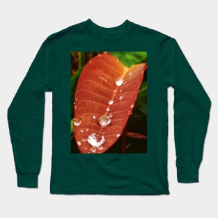 dew drops on young leaf Long Sleeve T-Shirt